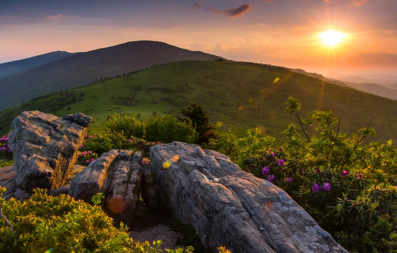 Photo wallpaper sunset, mountains, Tennessee, Appalachian, Appalachian Mountains, Tn, Roan Mountain State Park, Roan Mountain