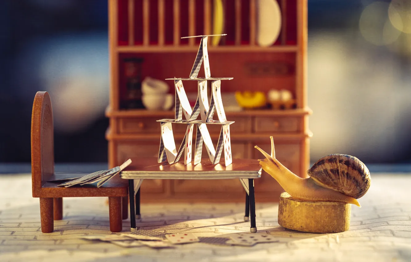 Photo wallpaper macro, table, background, room, the game, furniture, map, snail