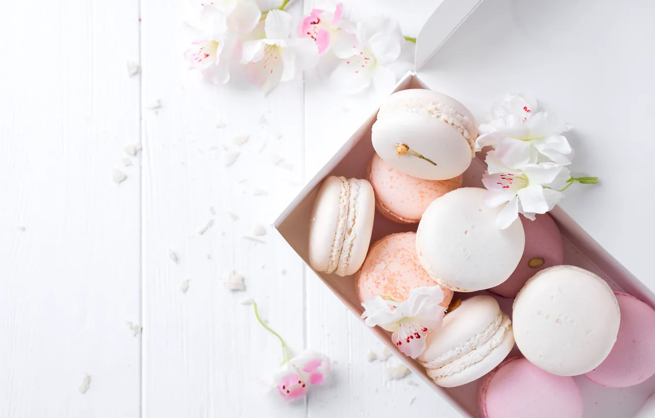 Photo wallpaper white, pink, flowers, french, macaron, pastel, macaroon