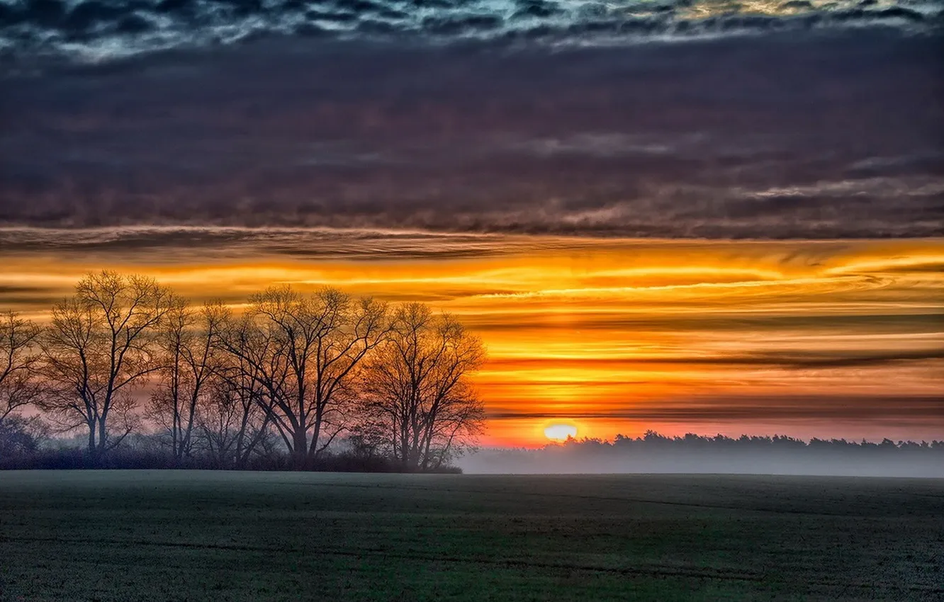 Photo wallpaper field, trees, sunset, nature, fog, sunrise, photo