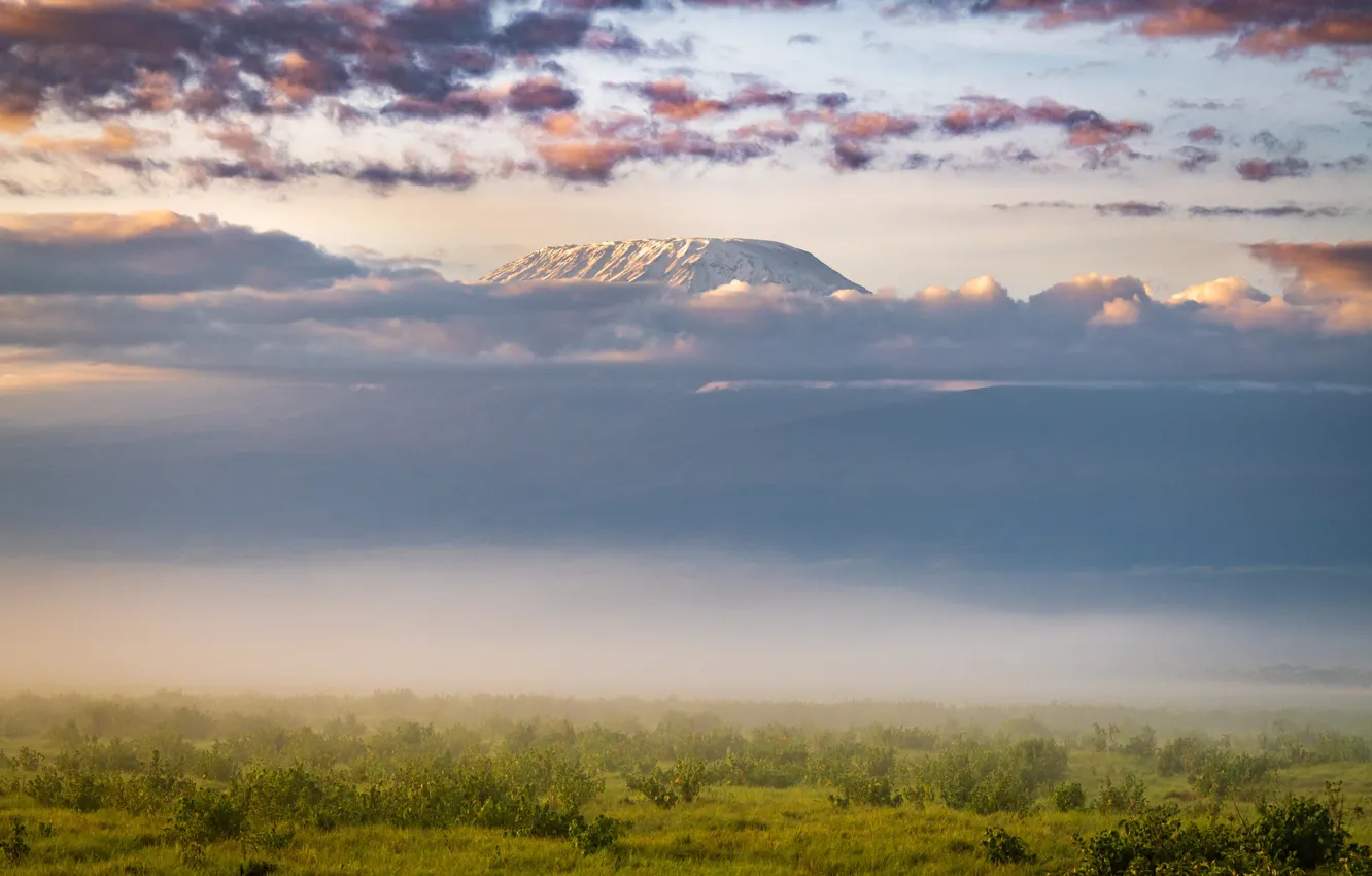 Photo wallpaper clouds, Savannah, Africa, clouds, Africa, Kilimanjaro, savannah, Jeffrey C. Sink