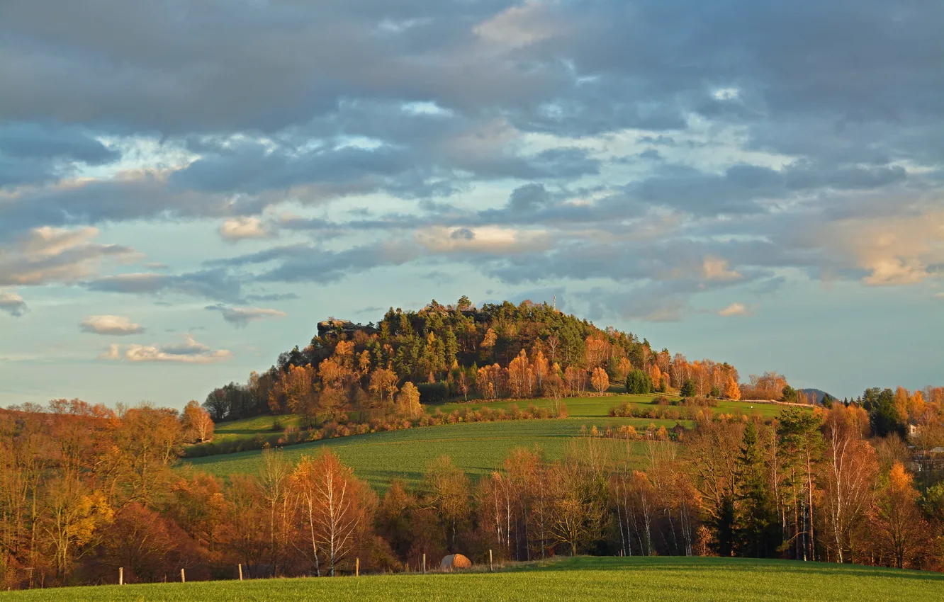 Photo wallpaper field, autumn, the sky, clouds, trees, mountains, slope