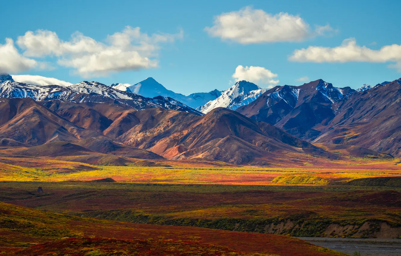 Photo wallpaper mountains, Alaska, USA, Denali National Park