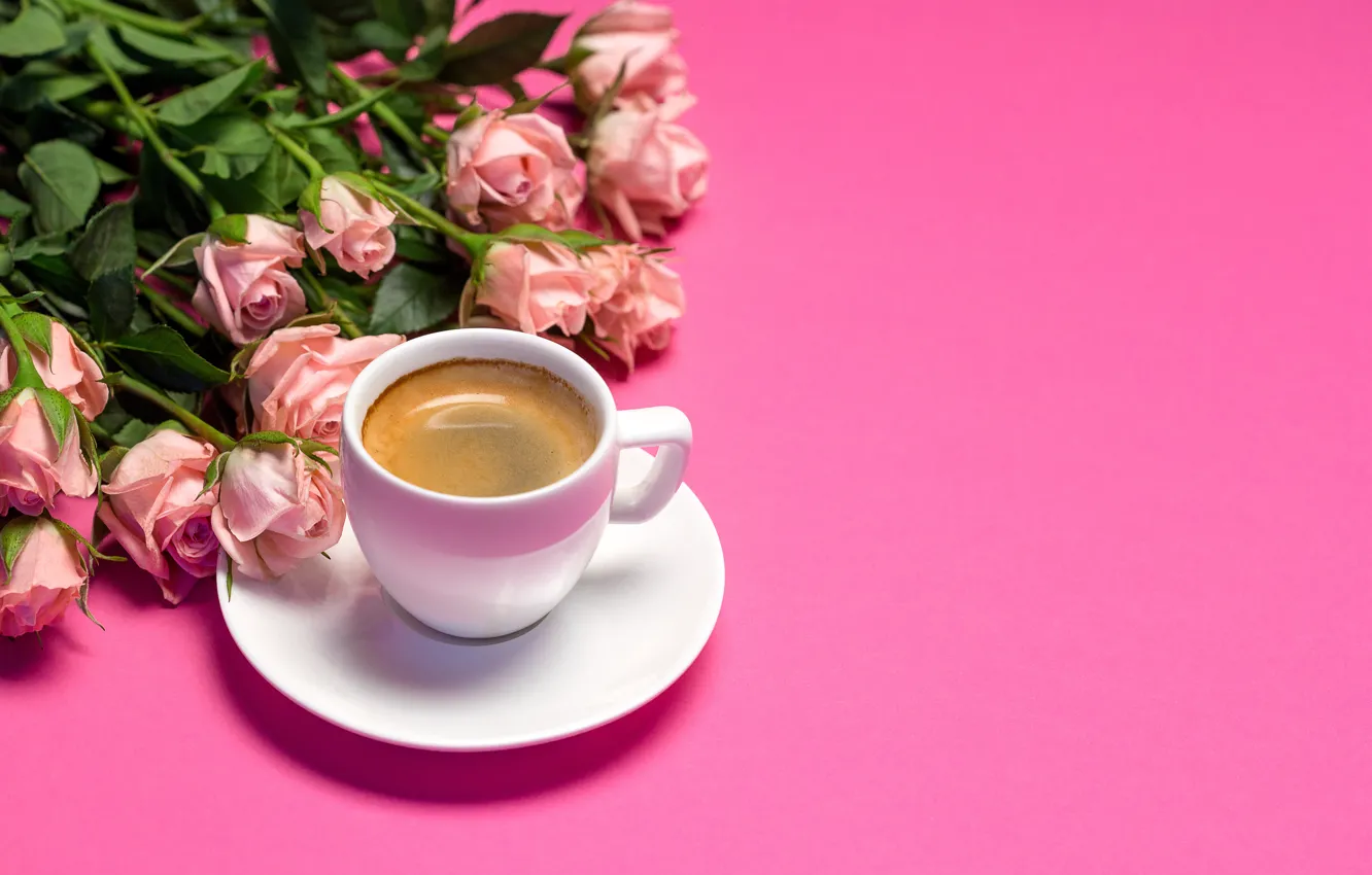 Photo wallpaper background, roses, Cup, pink, Tania Shustyk