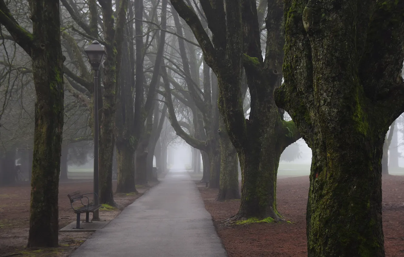 Photo wallpaper the city, street, bench