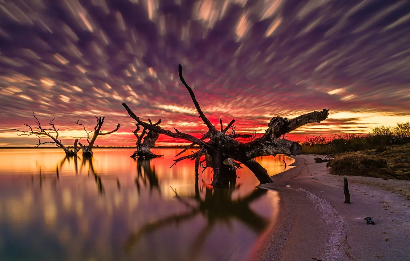 Photo wallpaper trees, sunset, lake