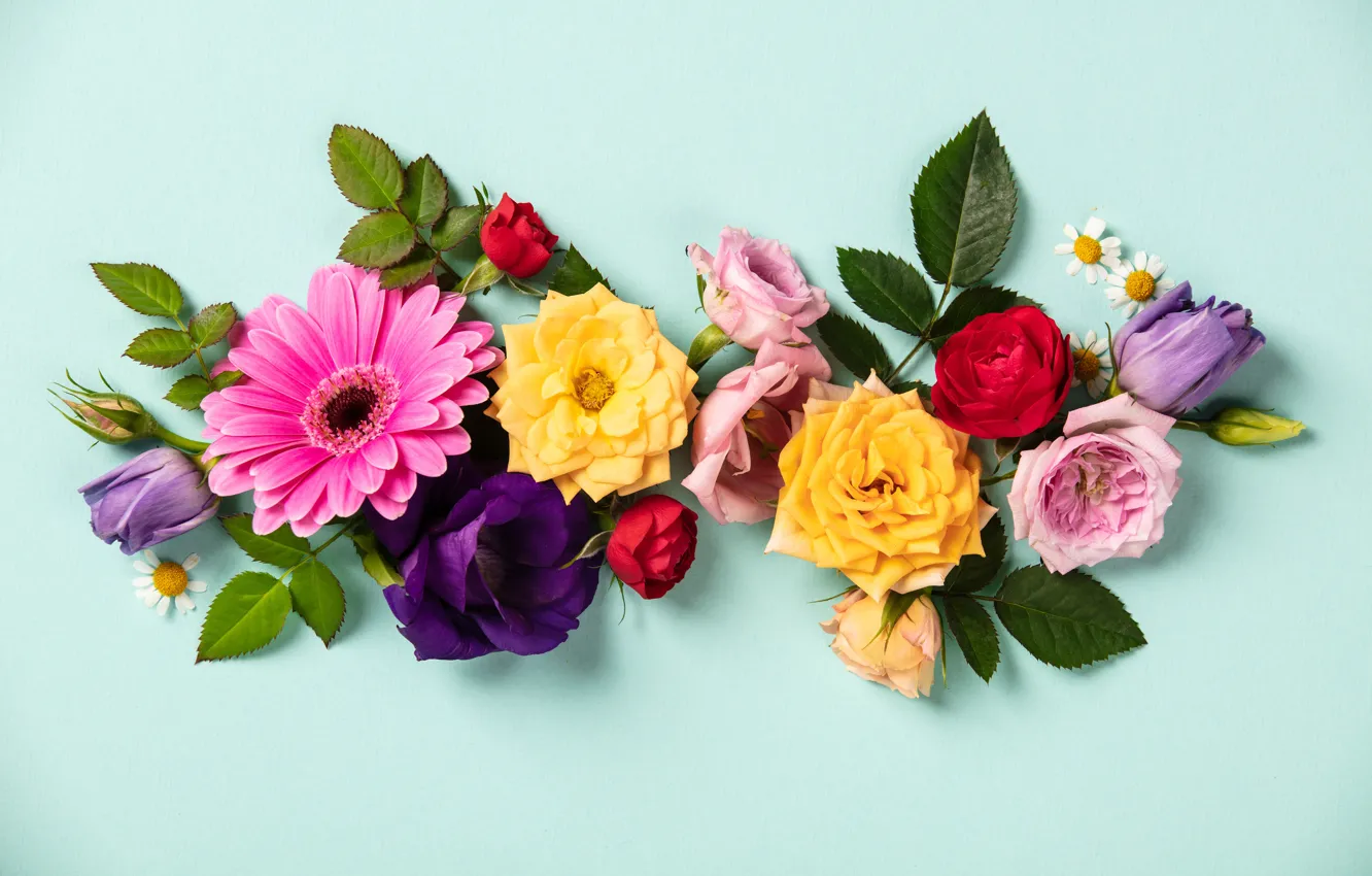 Photo wallpaper flowers, colorful, flowers, composition, floral