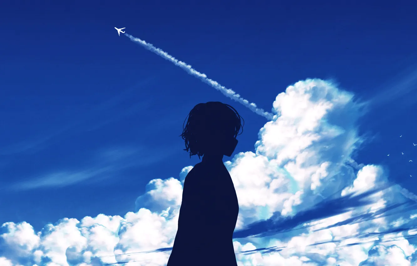 Photo wallpaper the sky, girl, clouds, the plane