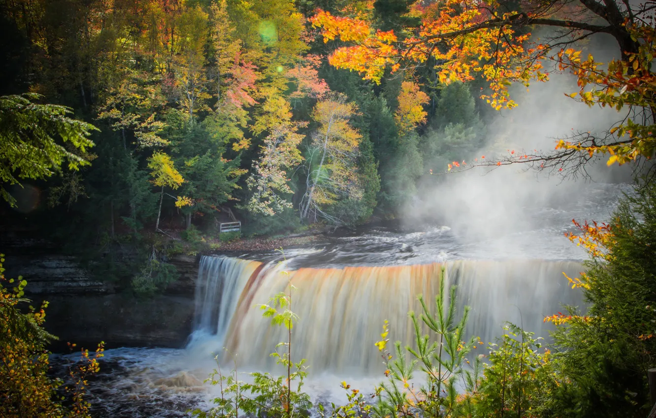 Photo wallpaper autumn, forest, leaves, trees, branches, fog, river, waterfall
