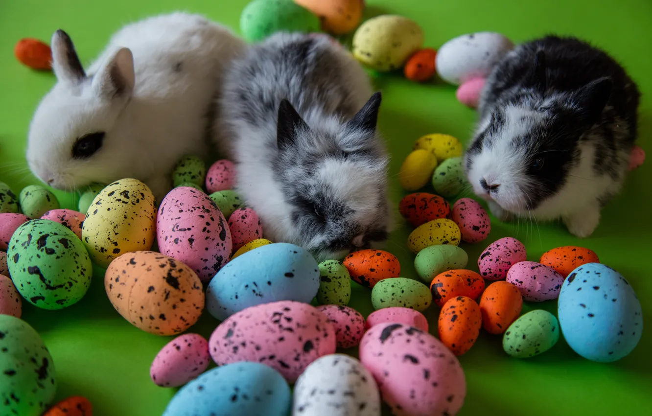 Photo wallpaper eggs, Easter, rabbits, eggs