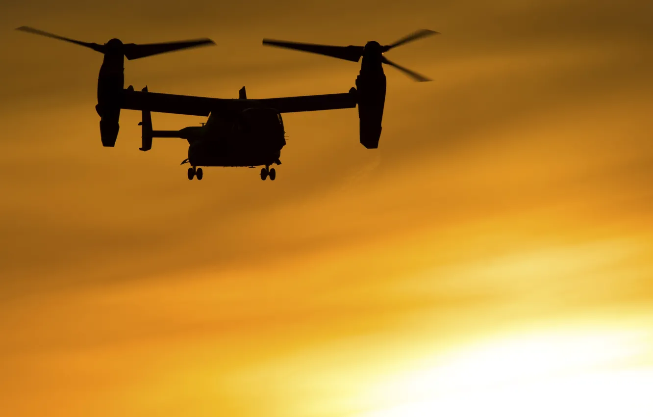 Photo wallpaper dawn, silhouette, Osprey, Bell CV-22B