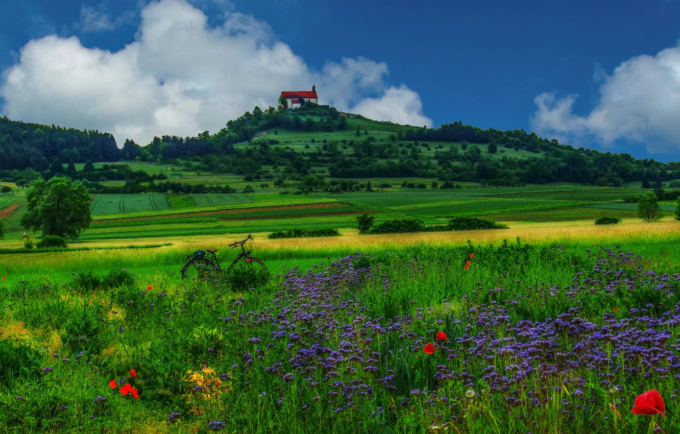 Photo wallpaper greens, field, forest, summer, the sky, clouds, flowers, bike