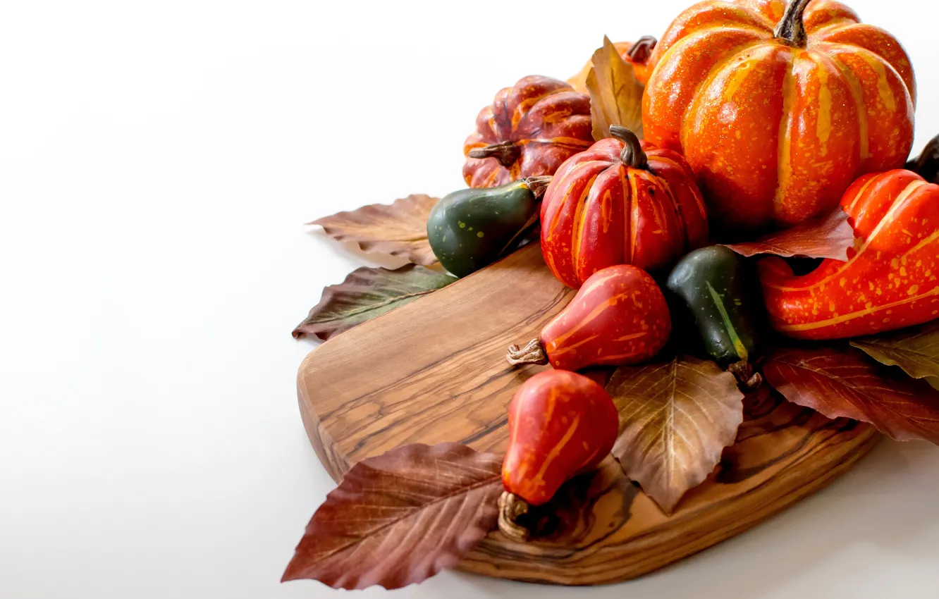 Photo wallpaper leaves, trees, plant, food, pumpkin, vegetables, wooden Board