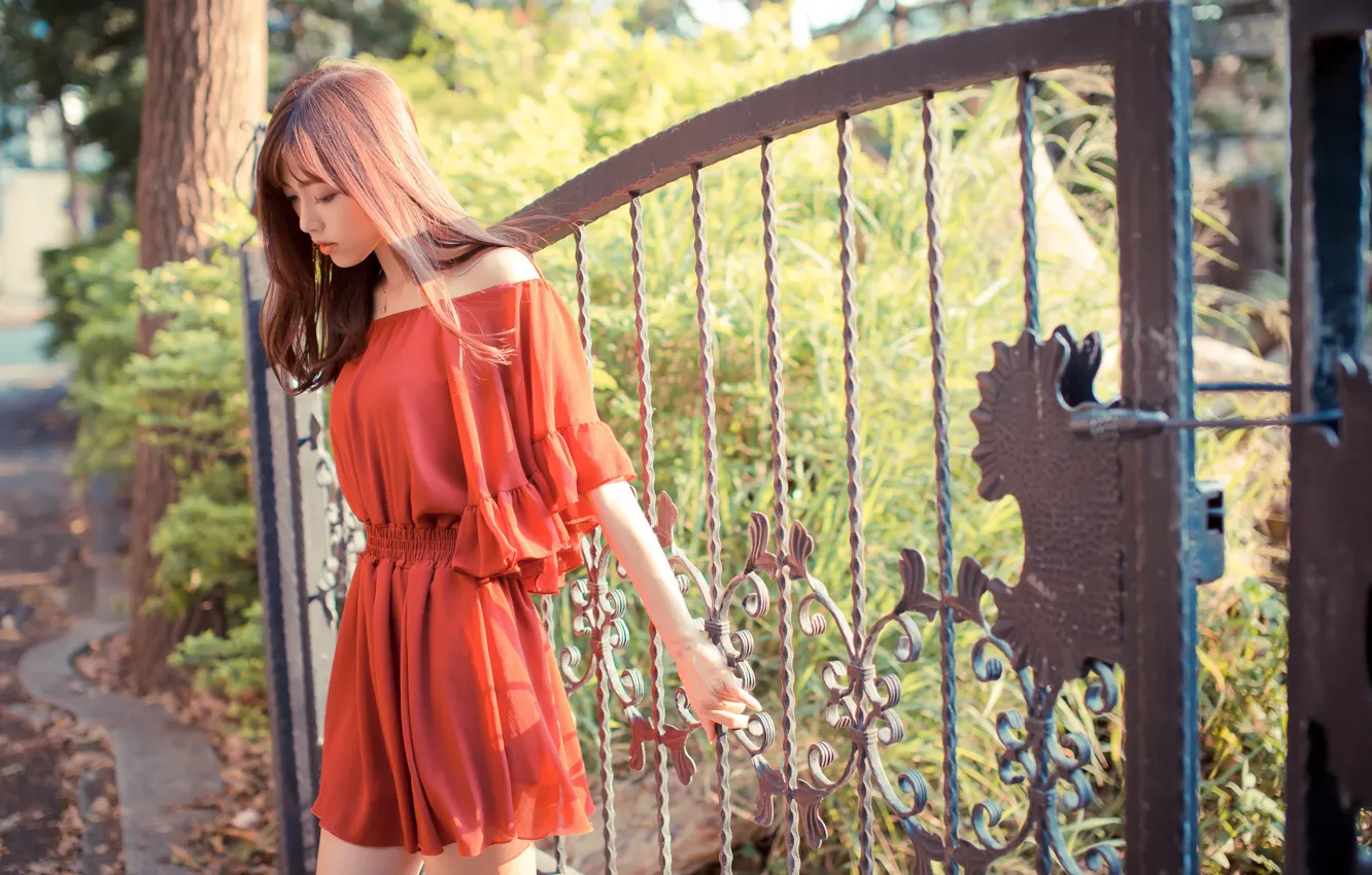 Photo wallpaper gate, Asian, red dress