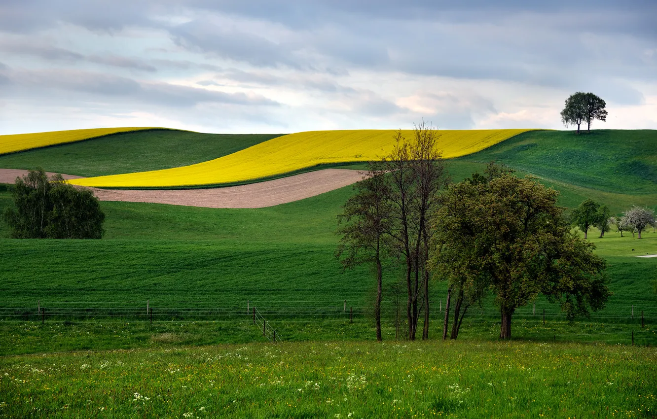 Photo wallpaper field, the sky, clouds, trees, hills, the fence