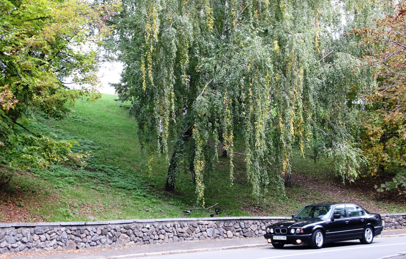 Photo wallpaper BMW, E34, 5 Series, 525i