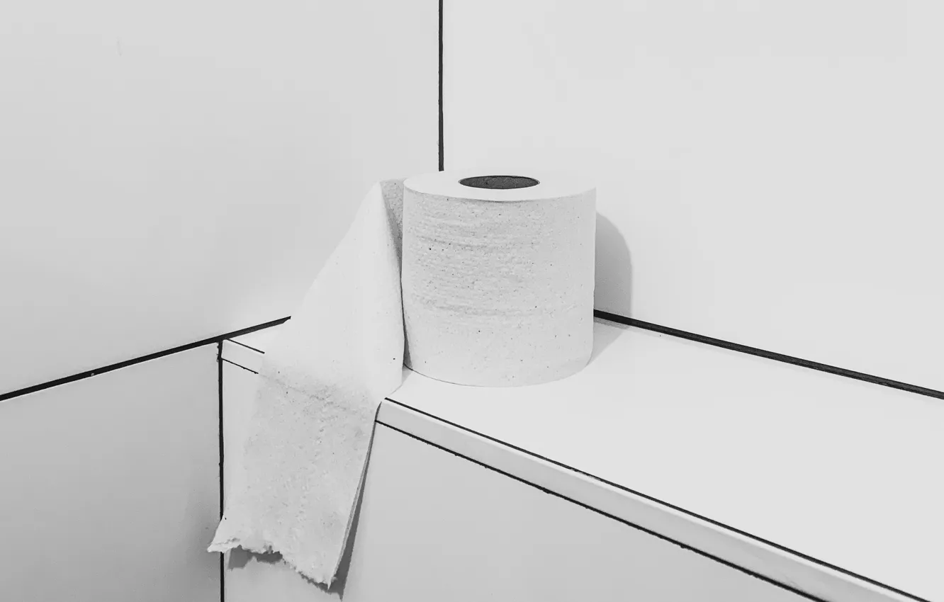 Photo wallpaper paper, background, naturalism