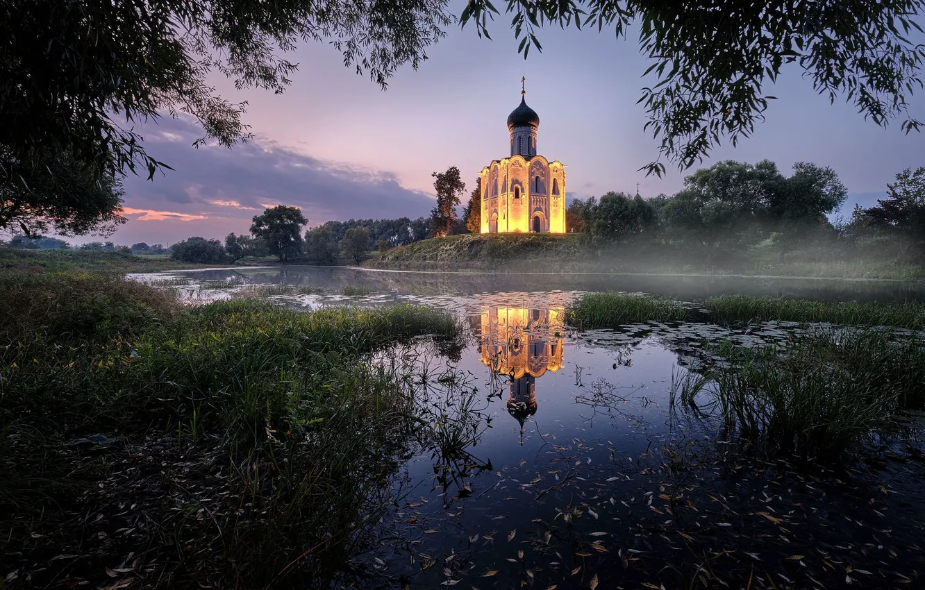 Photo wallpaper summer, grass, light, trees, landscape, night, branches, nature