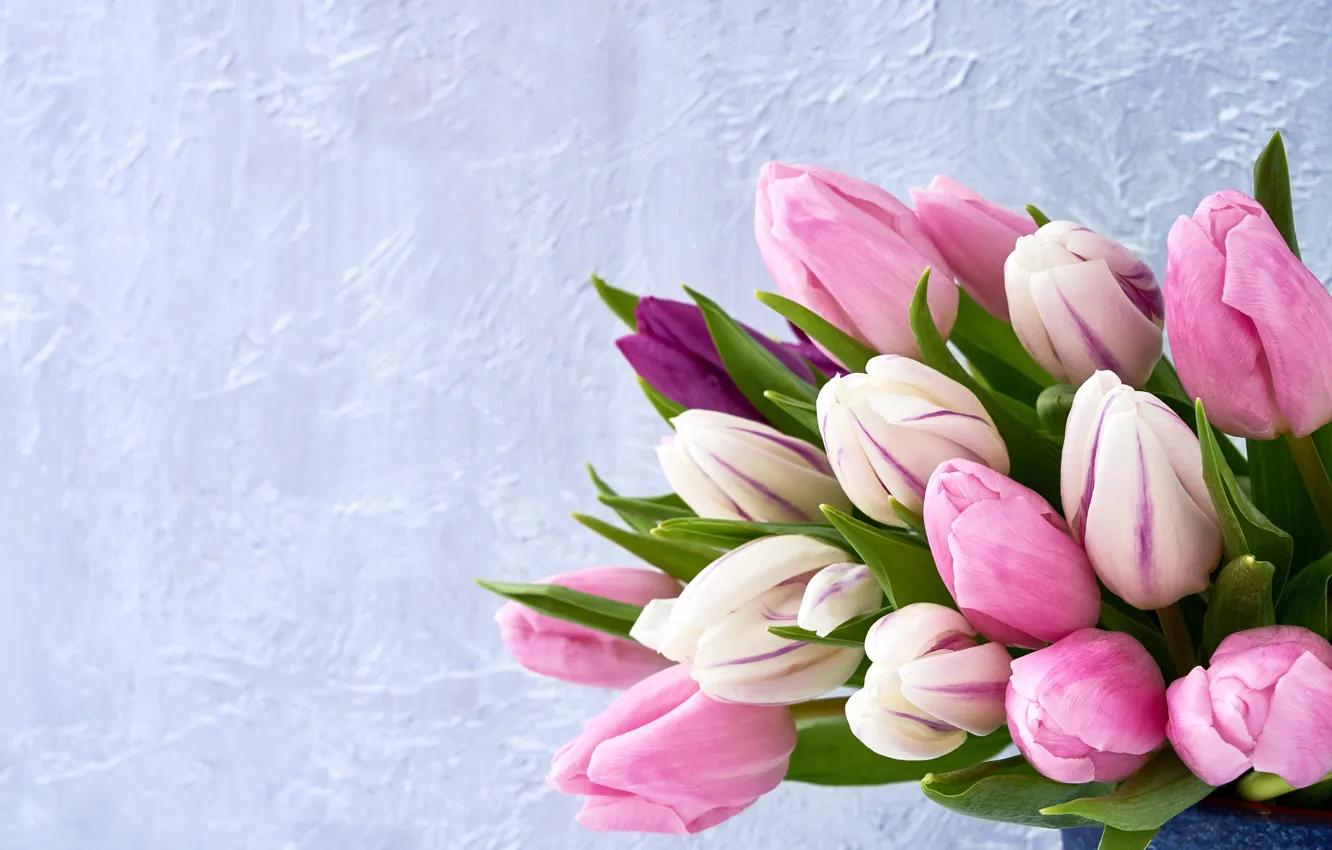 Photo wallpaper flowers, bouquet, tulips, pink, fresh, pink, flowers, tulips