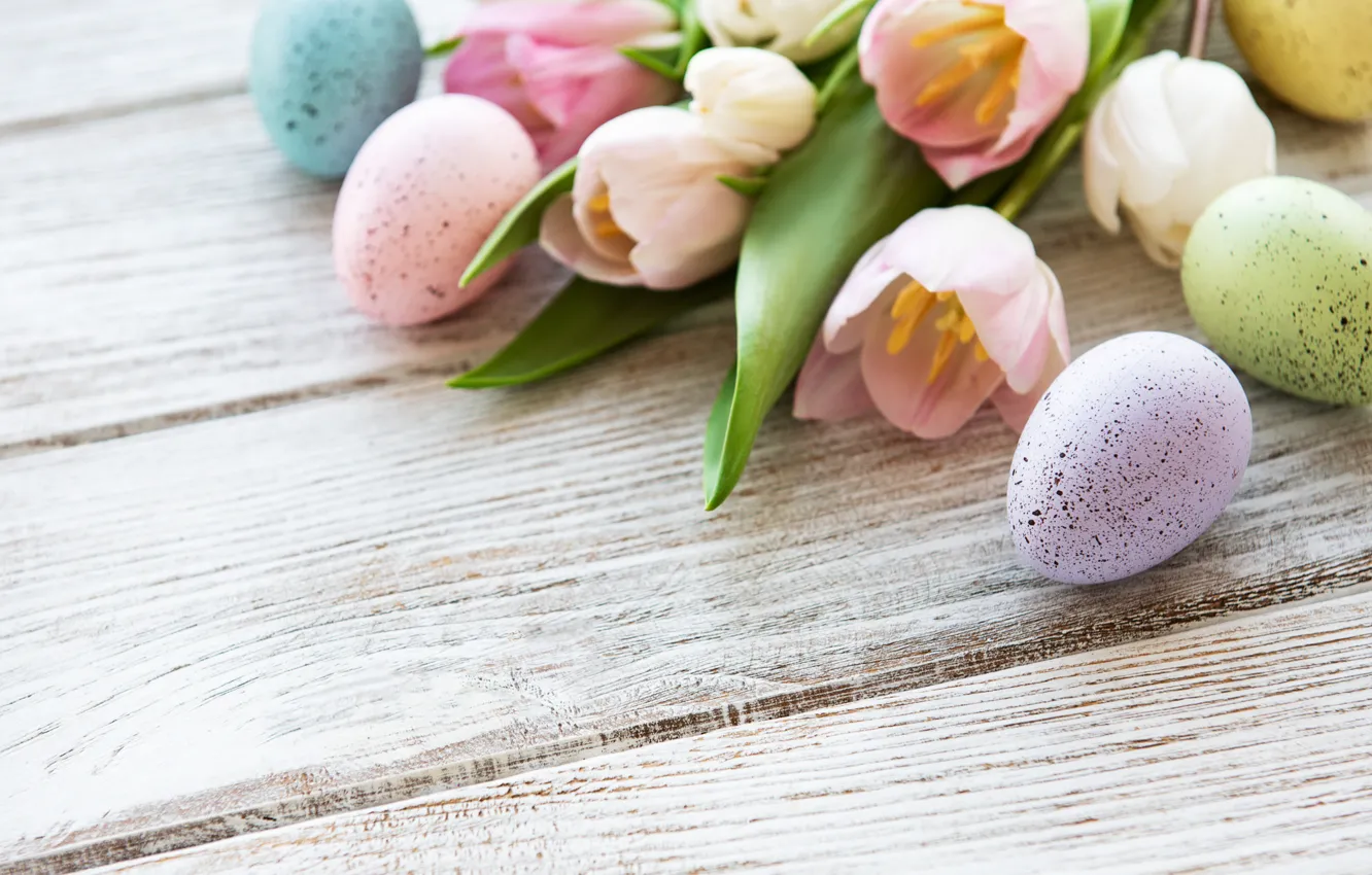 Photo wallpaper flowers, eggs, spring, colorful, Easter, tulips, wood, pink