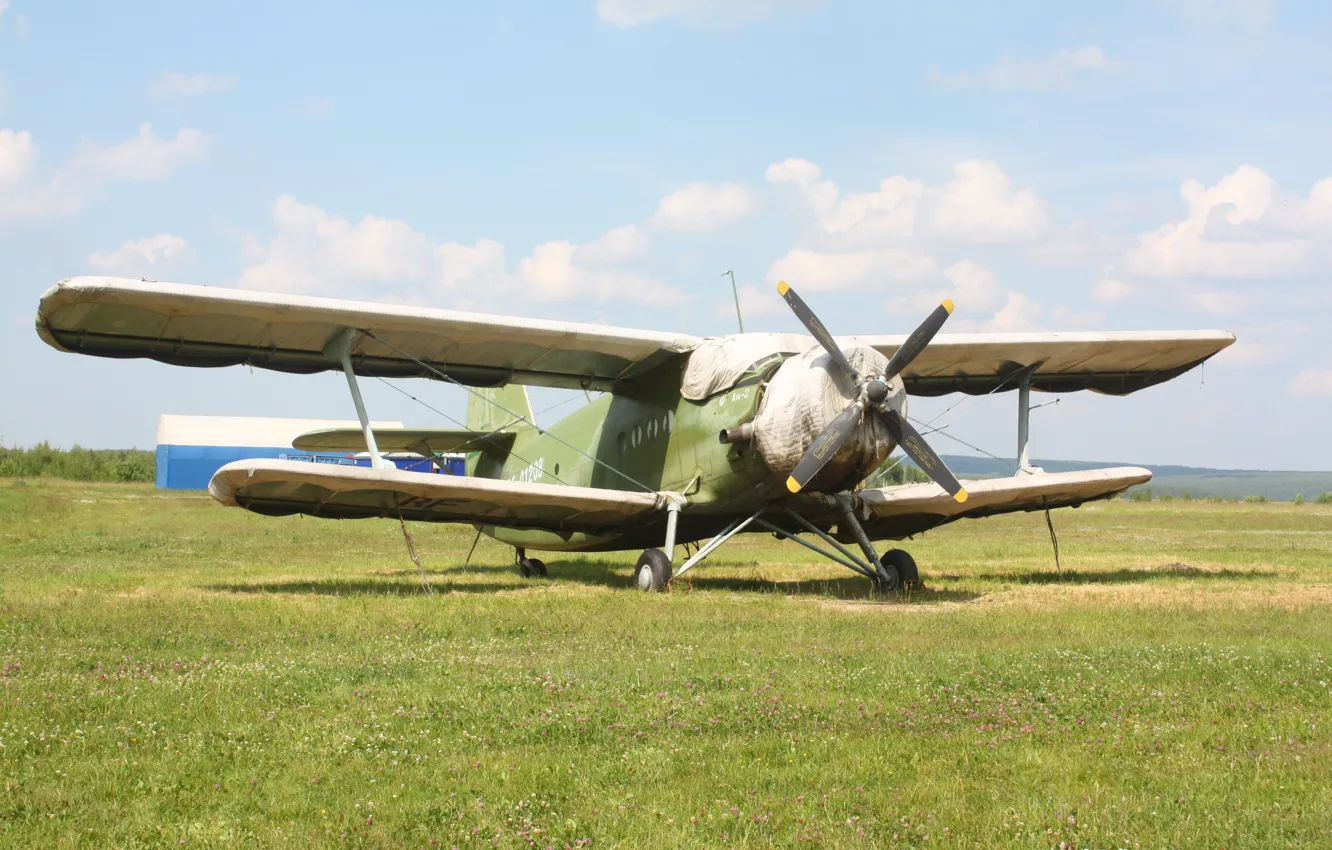 Photo wallpaper the plane, An-2, Maize, Annushka