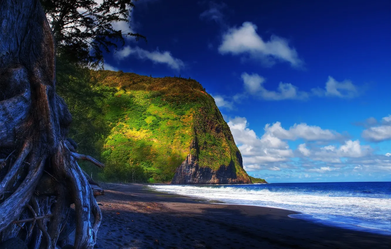 Photo wallpaper sand, sea, the sky, clouds, tree, mountain, Hawaii, hawaii