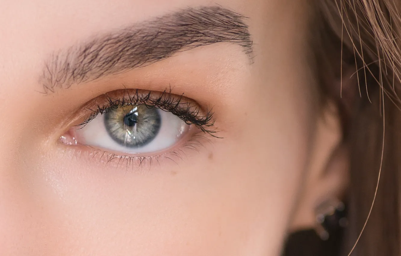 Photo wallpaper eye, look, eyebrows