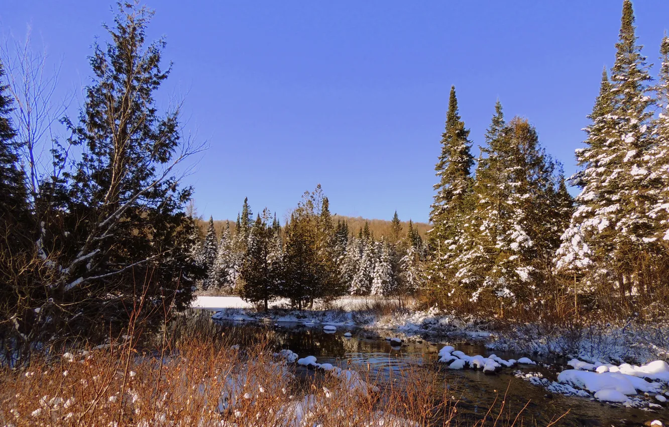 Photo wallpaper autumn, forest, the sky, snow, trees, river