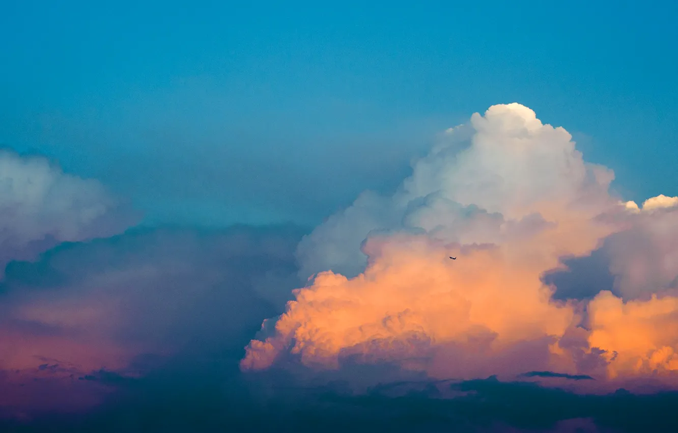Photo wallpaper the sky, clouds, clouds, the plane