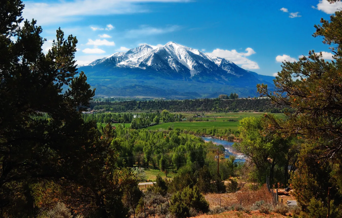 Photo wallpaper forest, landscape, mountains, nature, photo, USA, Colorado