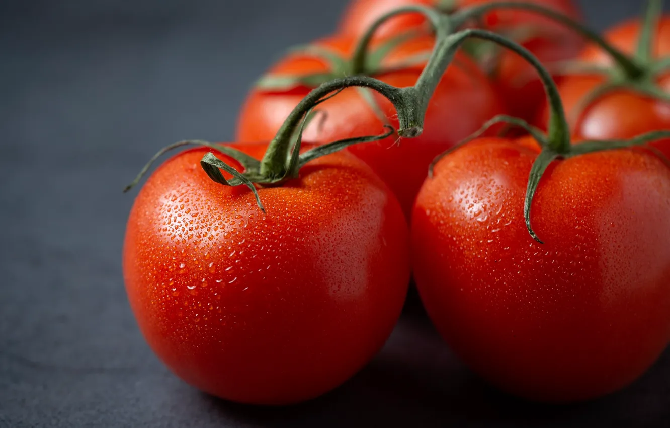 Photo wallpaper food, vegetables, tomatoes, tomatoes