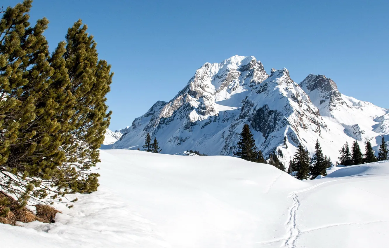 Photo wallpaper winter, the sky, clouds, snow, trees, landscape, mountains, nature