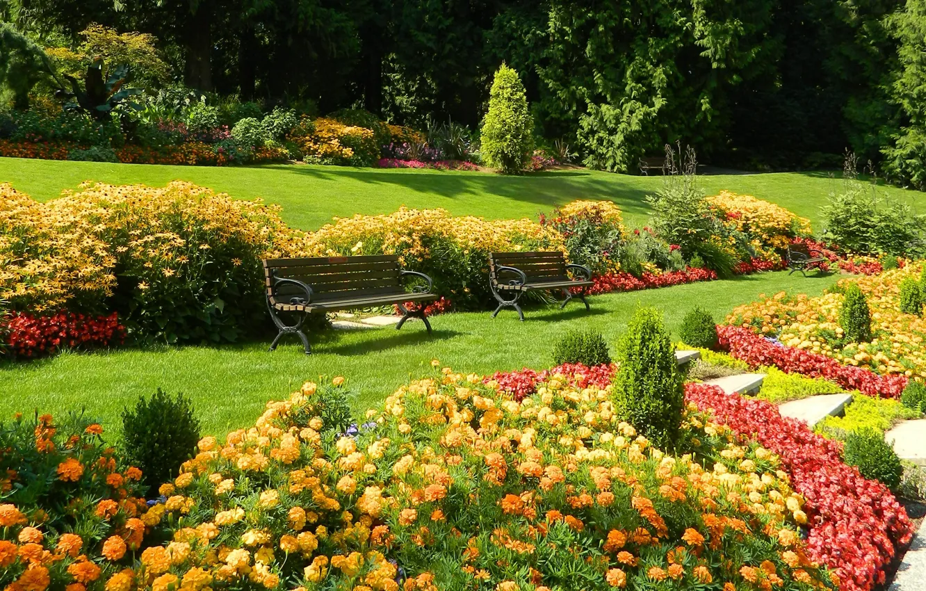 Photo wallpaper flowers, bench, nature, Park, lawn, plant, spring, garden