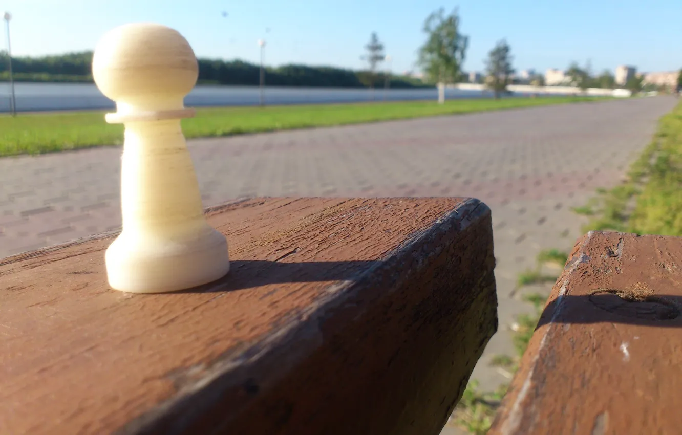 Photo wallpaper bench, tree, the sidewalk, Chess pawn