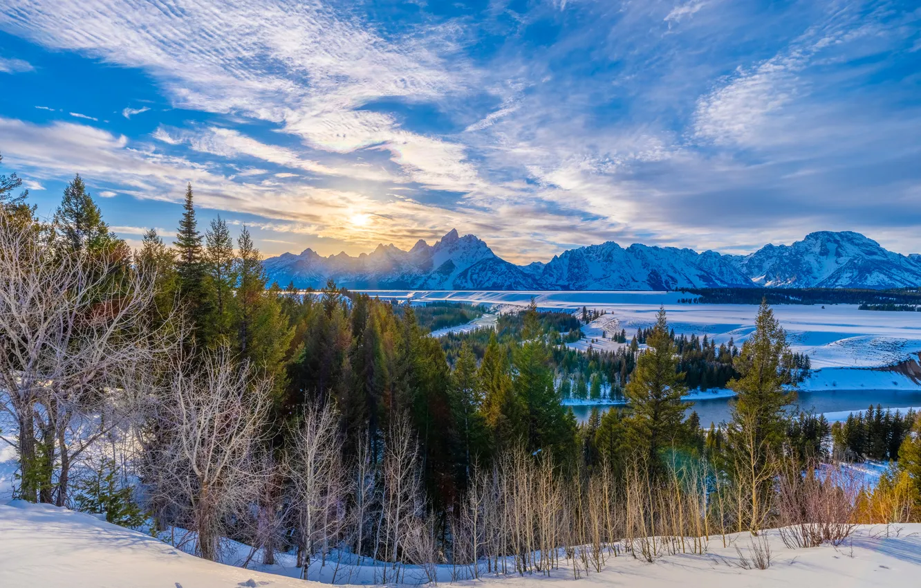 Photo wallpaper winter, forest, snow, landscape, mountains, river