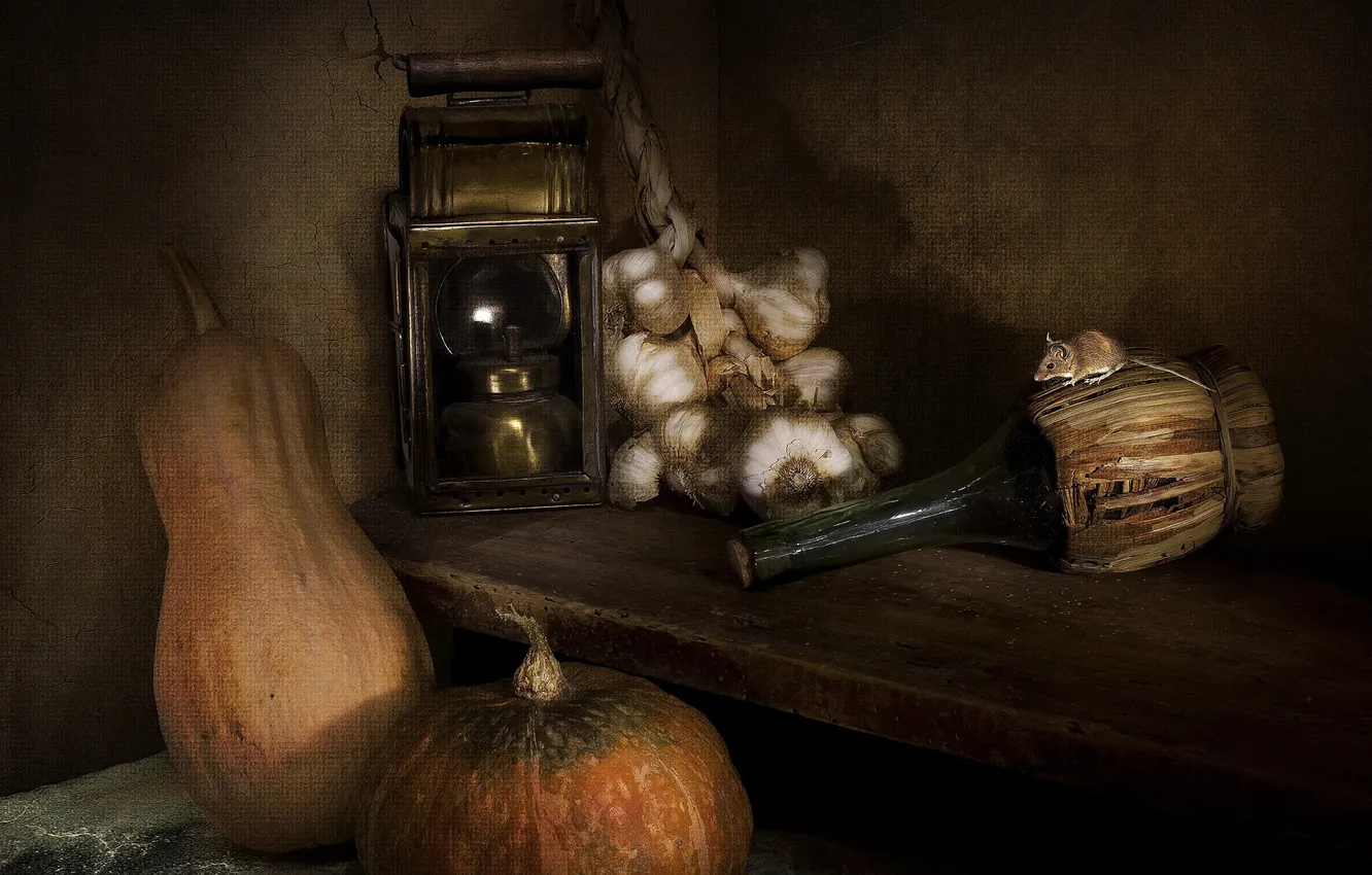 Photo wallpaper bottle, pumpkin, garlic