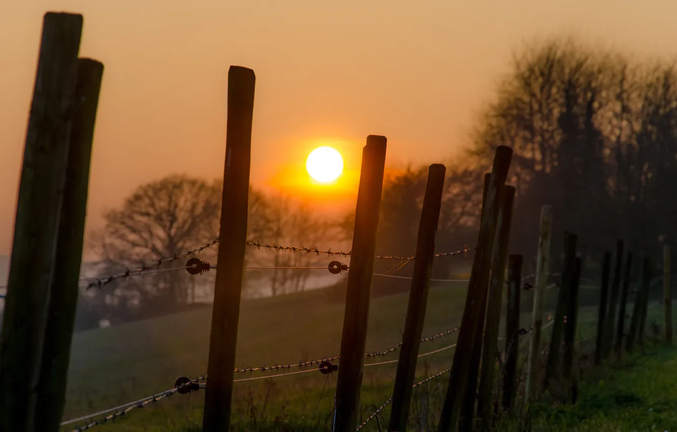 Photo wallpaper fog, sunrise, the fence, farm trees