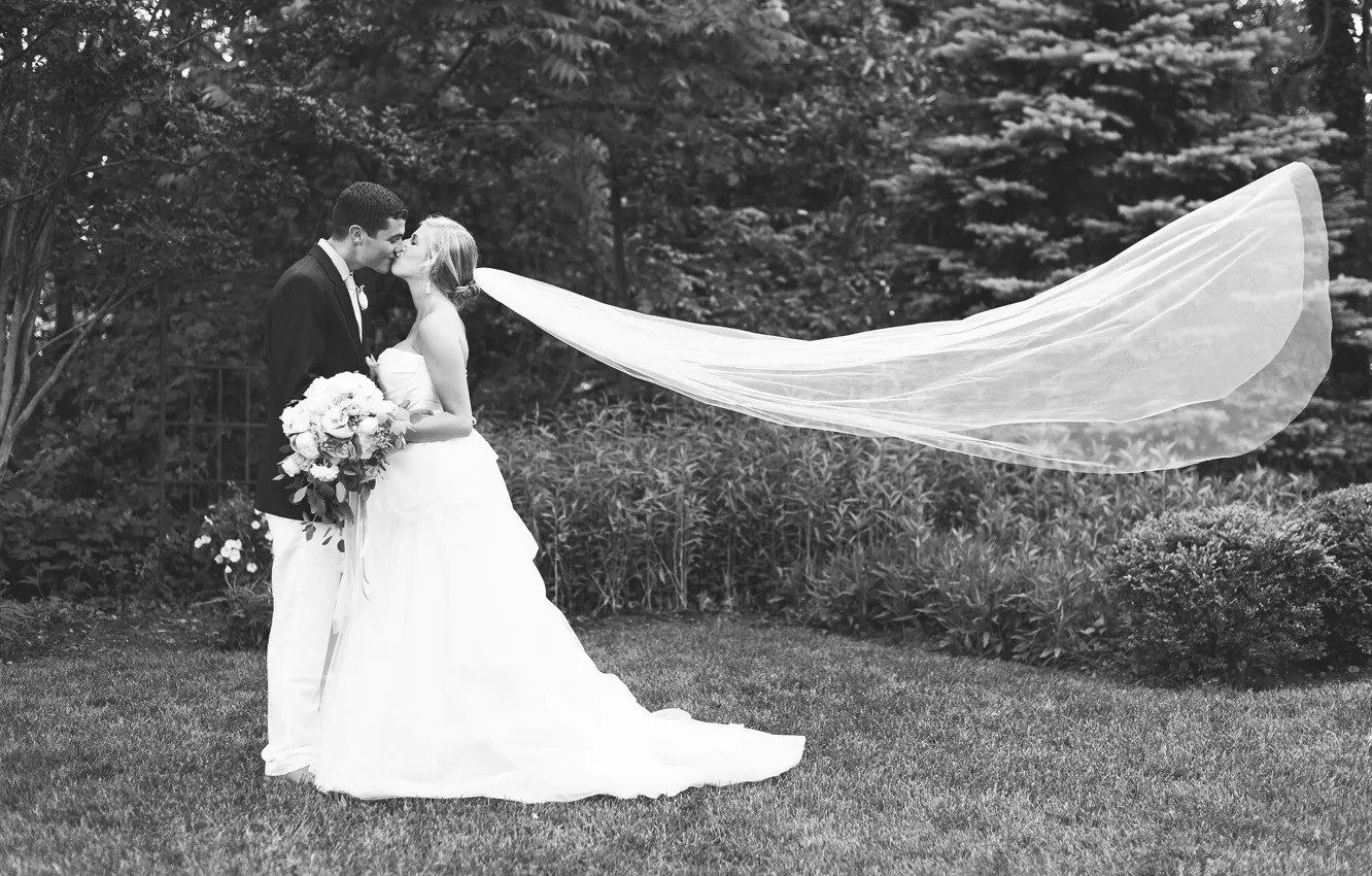 Photo wallpaper grass, kiss, dress, costume, lovers, two, the bride, veil