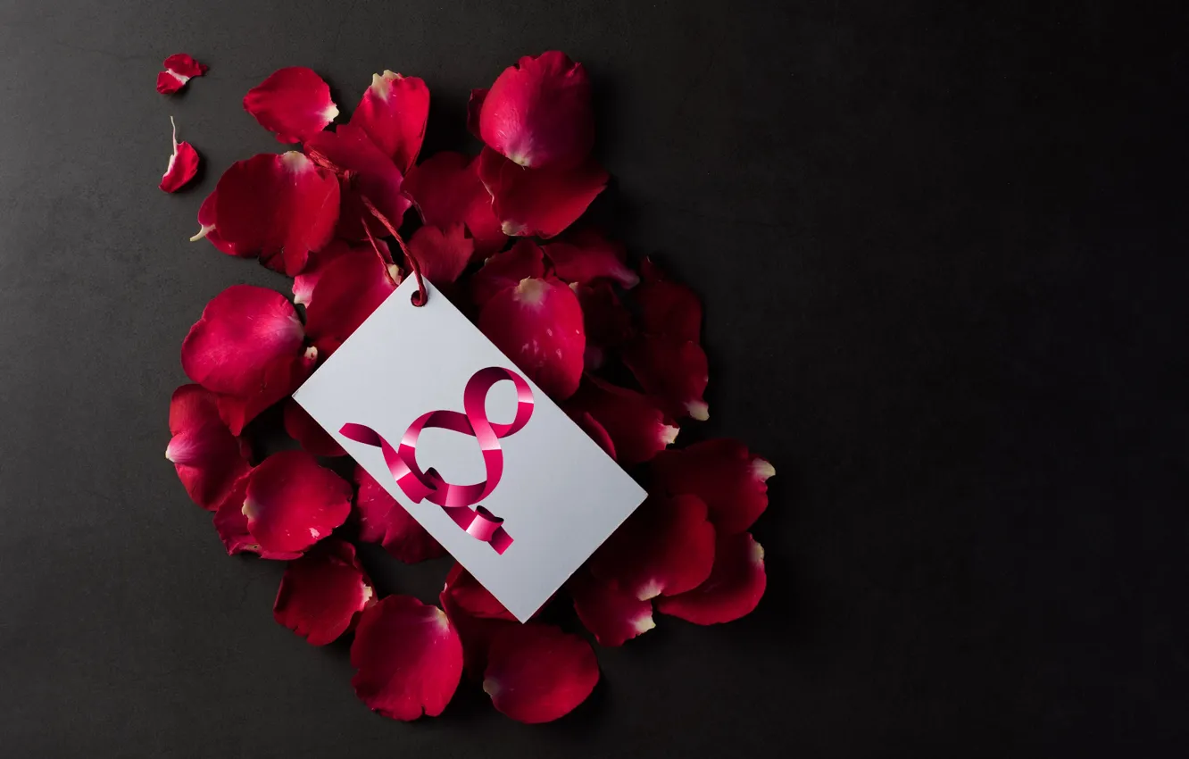 Photo wallpaper roses, petals, the number, March 8, eight, women's, March, CMFRA