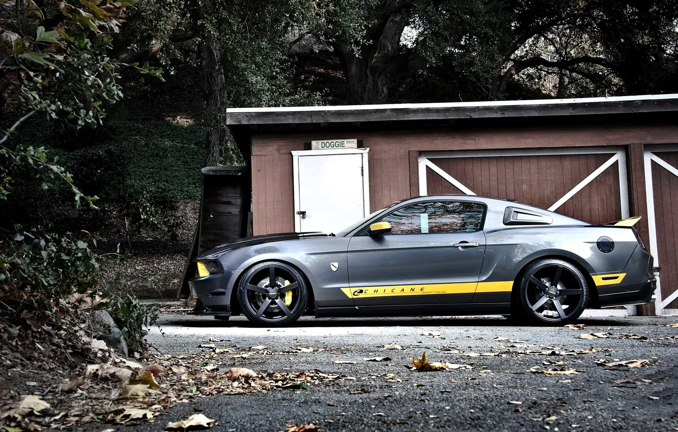 Photo wallpaper auto, grey, Mustang, Ford, Mustang, car, Ford, side view