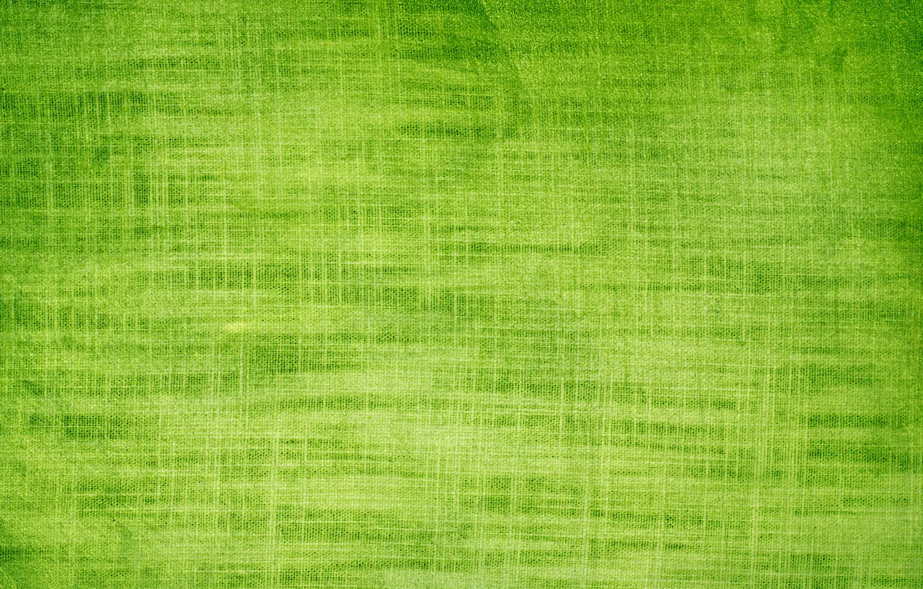 Photo wallpaper green, texture, background, gauze