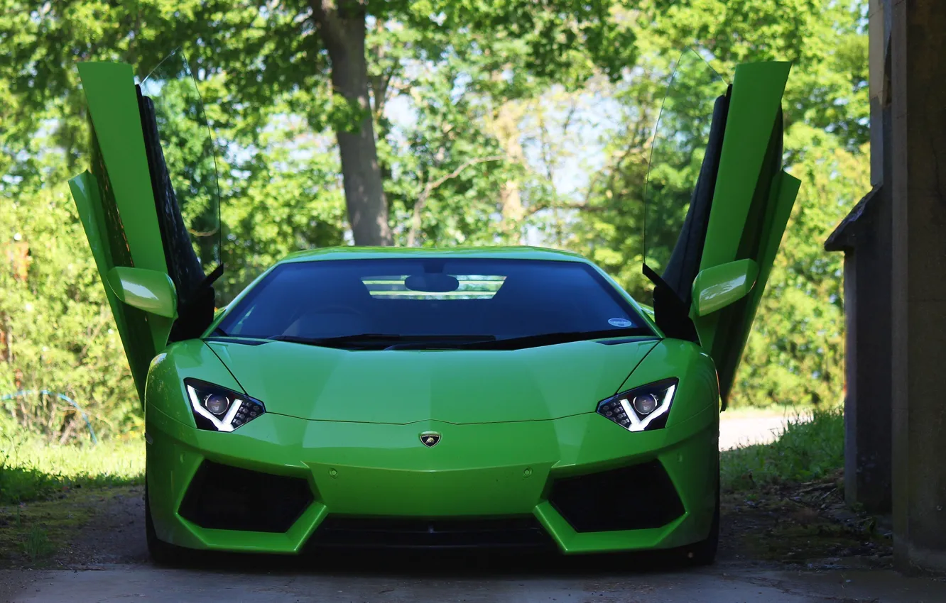 Photo wallpaper trees, green, green, the building, lamborghini, the front, headlights, aventador