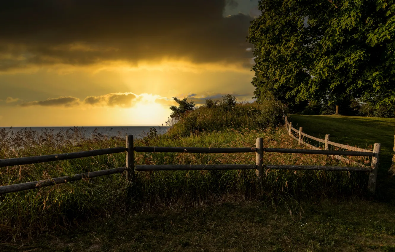 Photo wallpaper field, grass, trees, sunset, shore, the fence, pond, fence