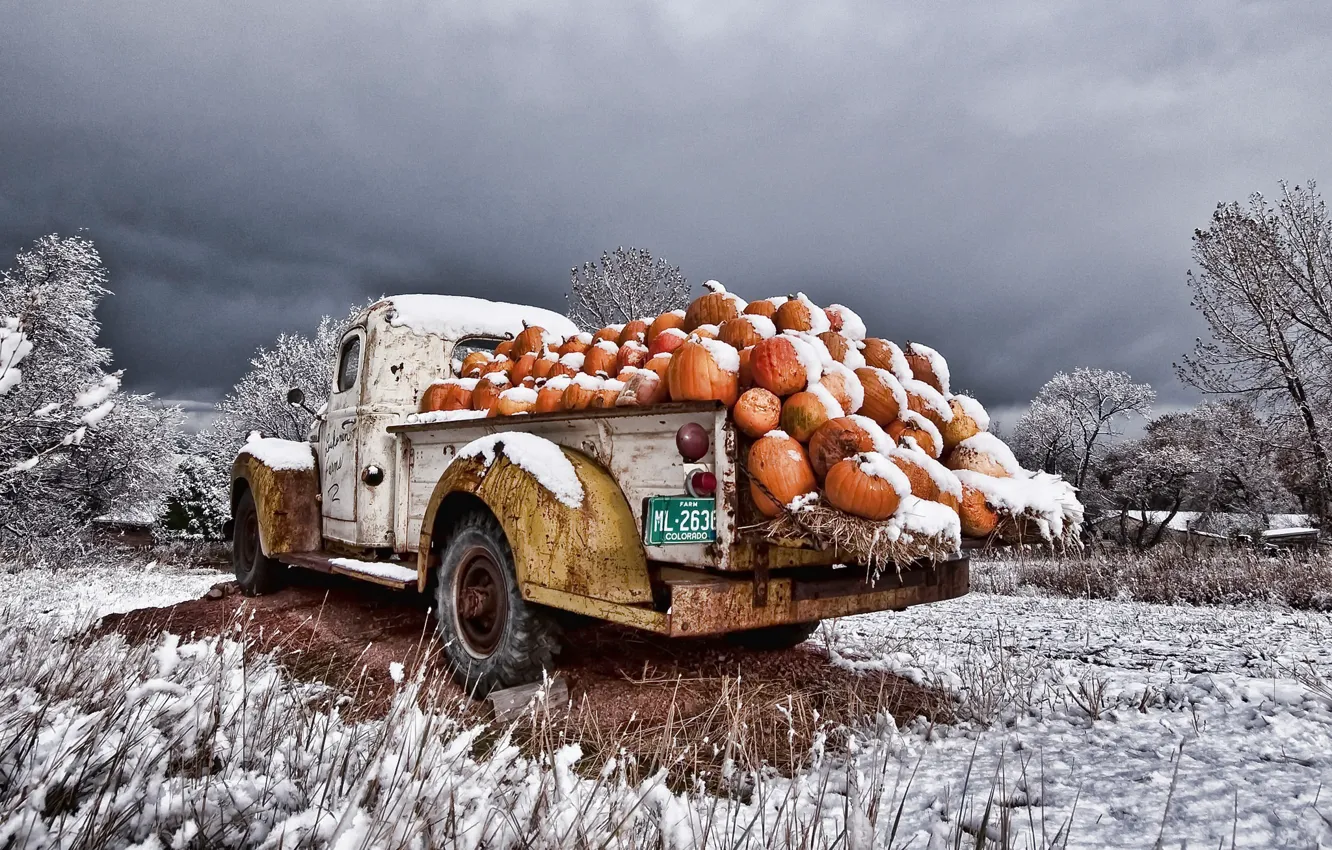 Photo wallpaper machine, snow, pumpkin