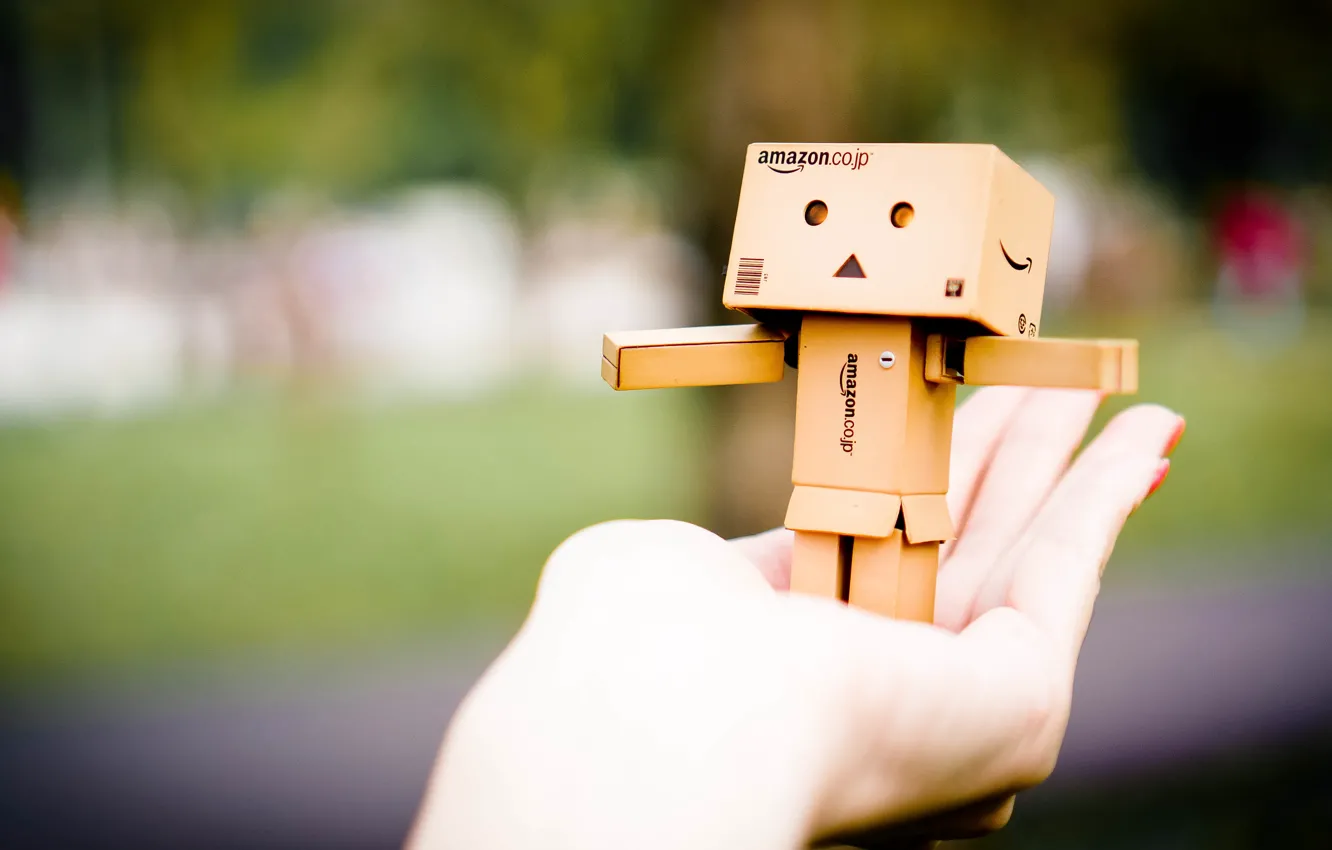 Photo wallpaper bokeh, hand, amazon, carton, palm, cardboard, Amazon Toy, Danboh