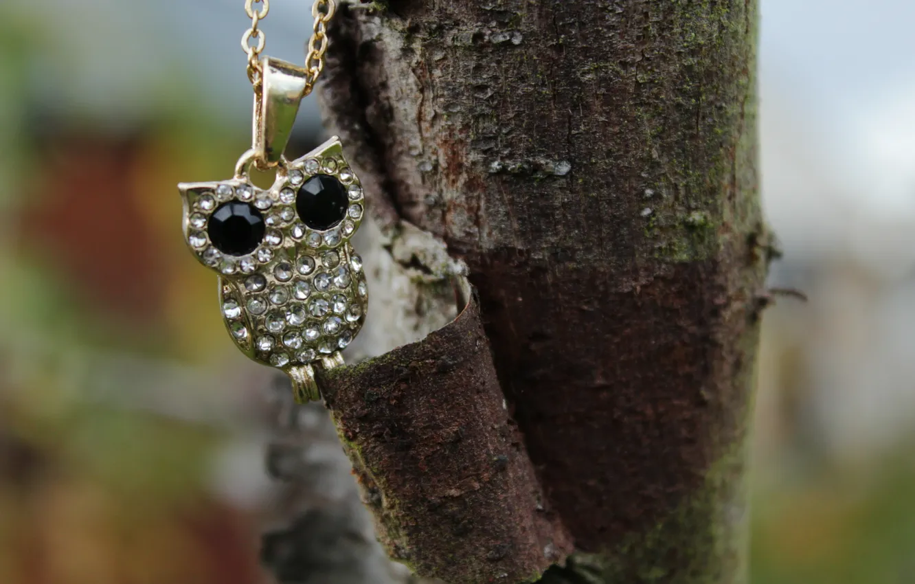 Photo wallpaper owl, pendant, decoration, chain
