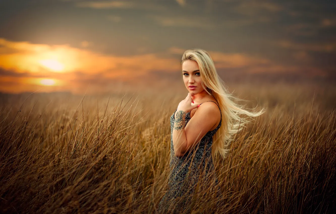 Photo wallpaper field, look, girl, sunset, hair, hands, tattoo, blonde