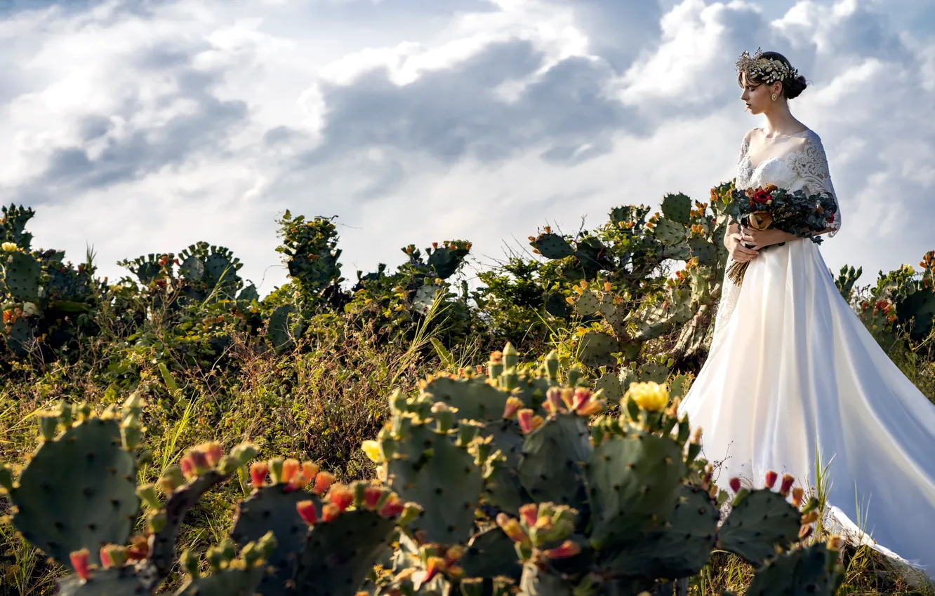 Photo wallpaper girl, style, model, bouquet, cacti, wedding dress