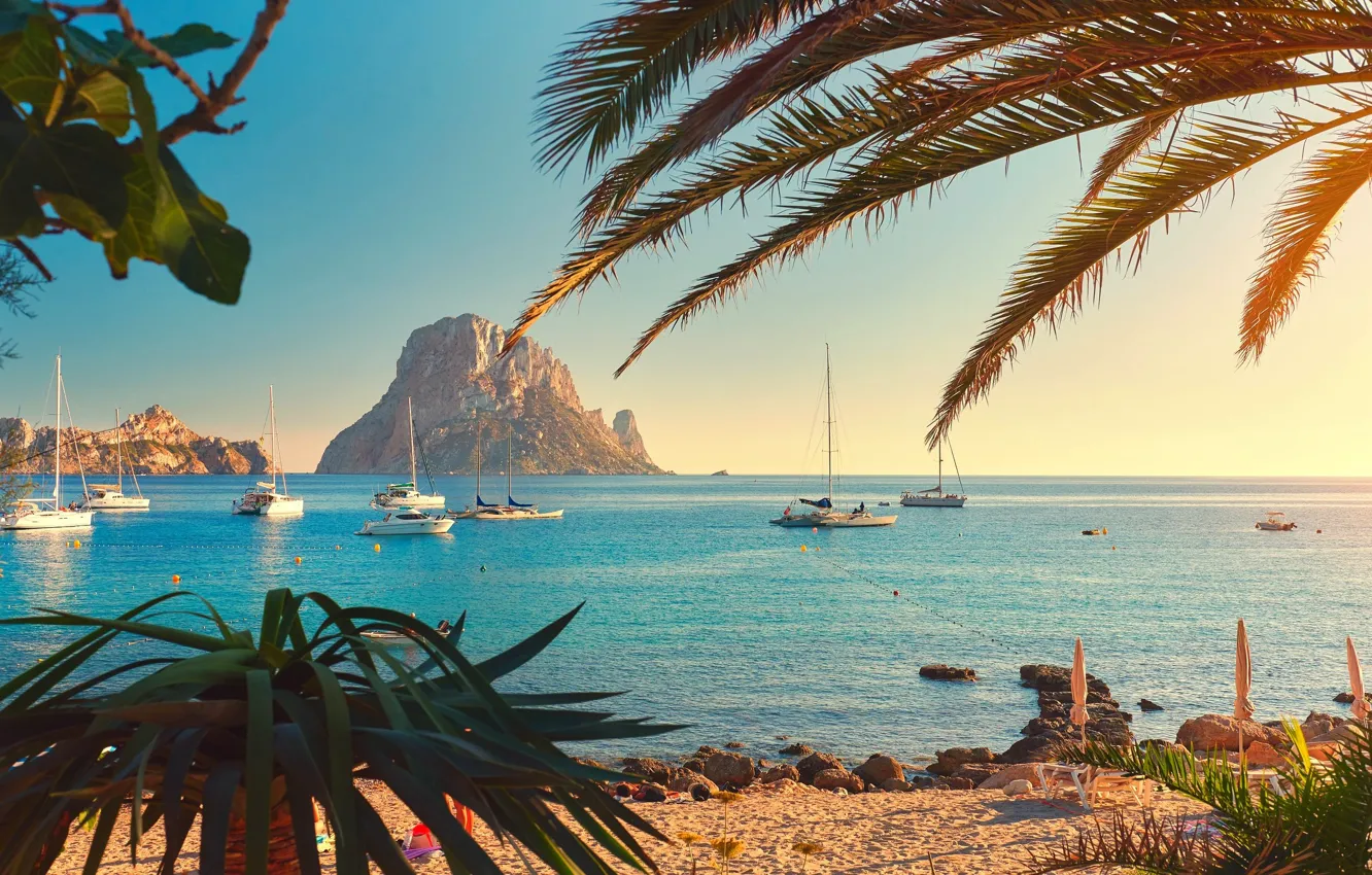 Photo wallpaper sea, palm trees, yachts, Spain, Ibiza