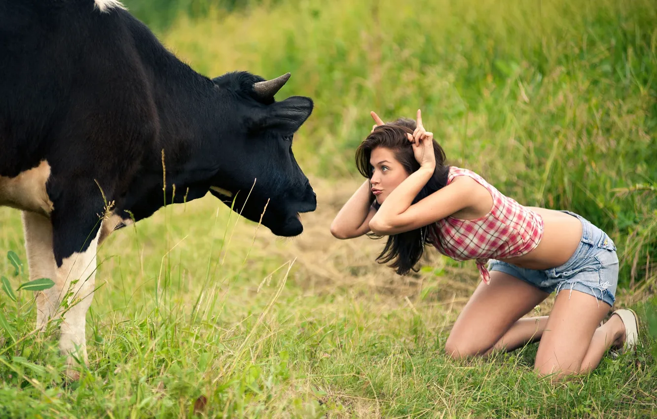 Photo wallpaper girl, cow, meadow, tomfoolery